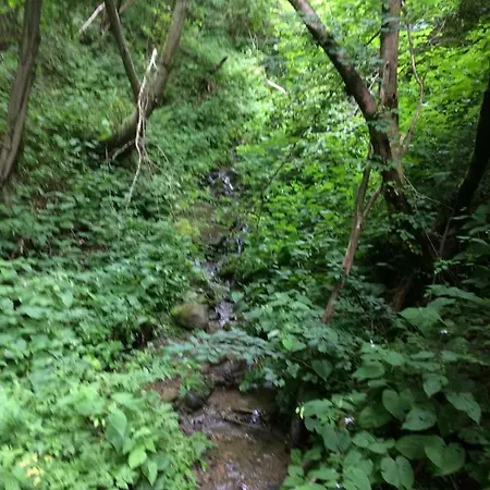 St. Peter Daire Radenthein