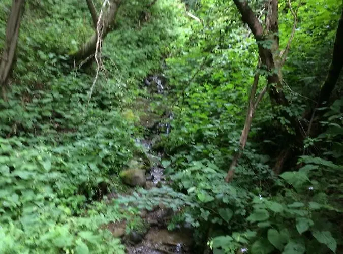 St. Peter شقة رادينثين